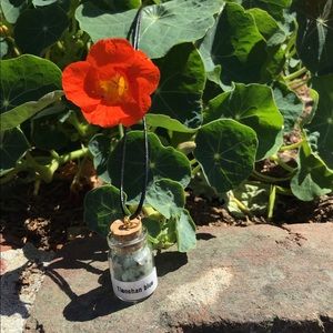 Crystals (Tianshan Blue) In A Bottle Mini